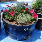 コンテナ　ボーダーガーデン入口